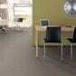 Anderson Tuftex Free Form Carpet in Smoke Embers, , large