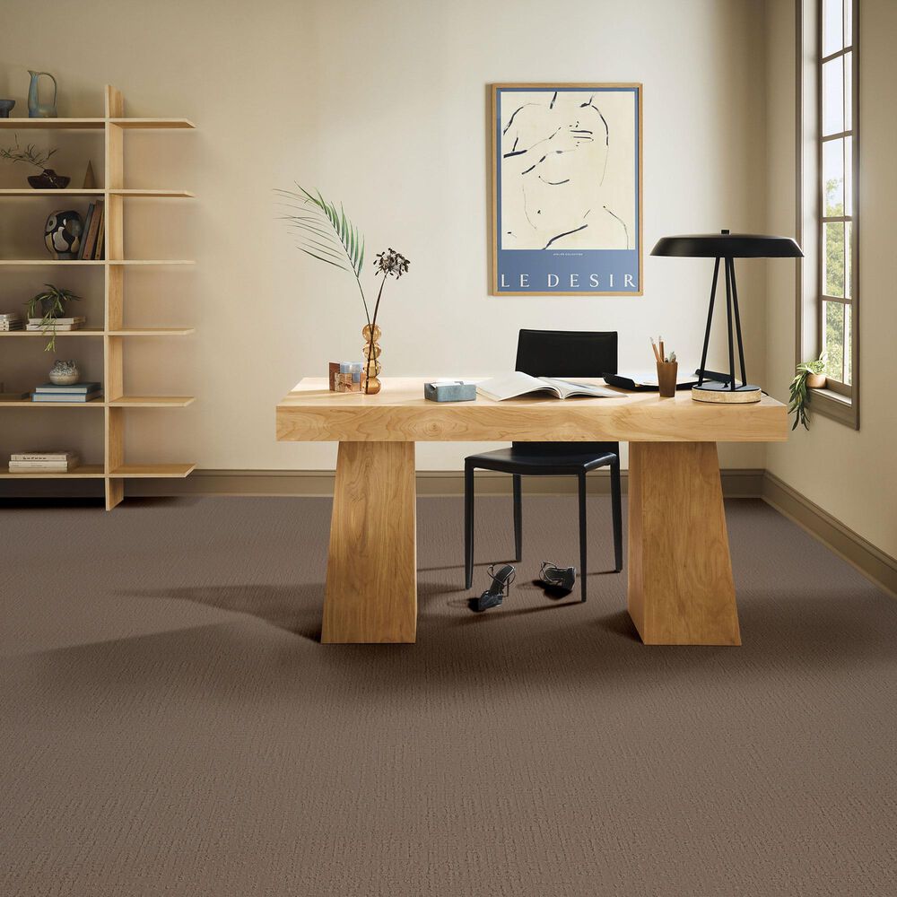 Anderson Tuftex Adair Carpet in Meet And Greet, , large