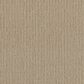 Dream Weaver Natural Attraction Carpet in Joyous, , large