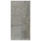 Dal-Tile Emergent EM32RCT1224LP Aluminum 12" x 24" Porcelain Tile, , large