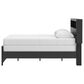 Ashley Broachmyn Full Bookcase Bed in Black and Gray, , large