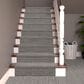 Masland Stargaze Carpet in Cosmopolitan, , large