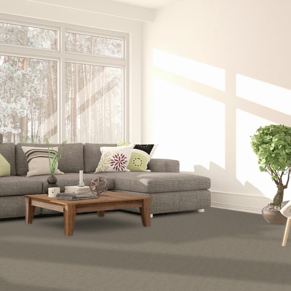 Dream Weaver Classic Elements Carpet in Brunello, , large