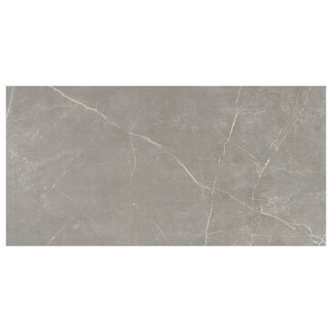 Emser Sterlina Dove 12" x 24" Matte Porcelain Tile, , large