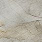 Dalyn Rug Company Odyssey OY8 Brown 9" x 12" Area Rug, , large