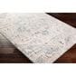 Surya Ankara 7"10" x 10"2" Cream, Ice Blue and Light Gray Area Rug, , large