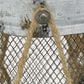Maple and Jade Decorative Indoor/Outdoor Candle Lantern in Galvanized Silver and Brown (Set of 3), , large