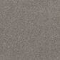 Godfrey-Hirst Impressive Shades Carpet in Filtered Smoke, , large