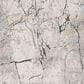 Ashley Wyscott 7"10" x 10"3" Beige, Gray and Black Area Rug, , large