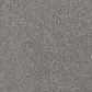 Dixie Home Big Splash Carpet in Resort, , large