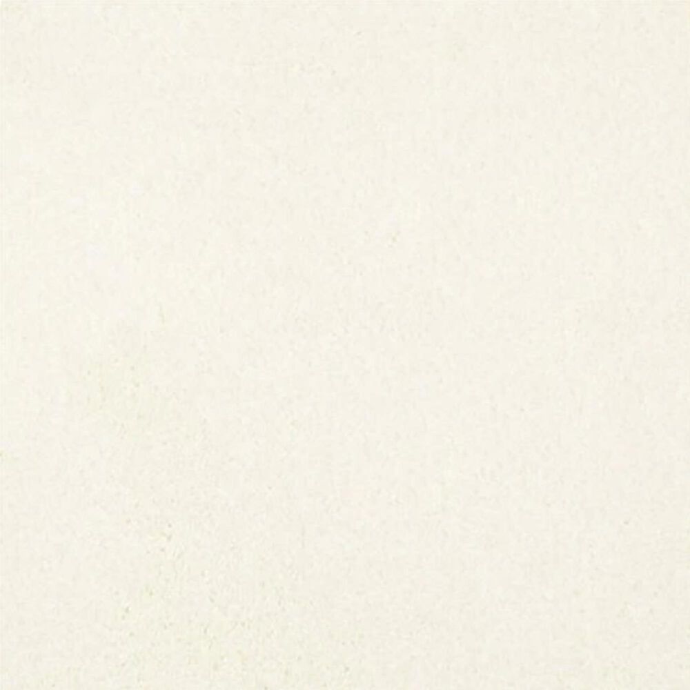 Masland Miami Carpet in Palm Coast, , large