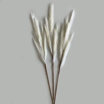 Elements 45" Ivory Pampas, , large