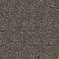 Anderson Tuftex West Haven Carpet in Potting Soil, , large