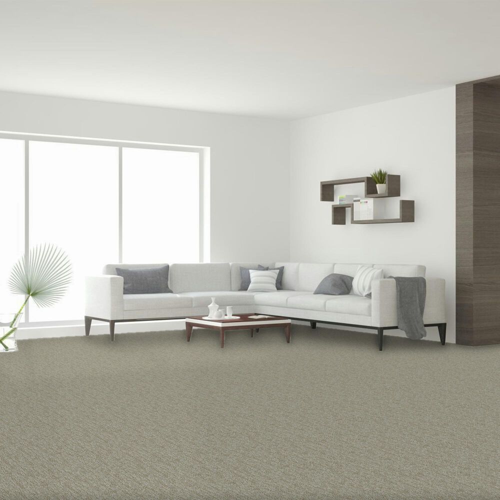 Dream Weaver Valter Carpet in Prairie Grove, , large