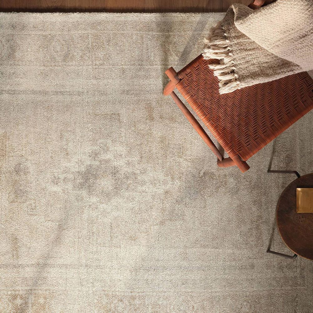 Jaipur Casen Adorn Tan and Brown 6' x 9' Area Rug, , large