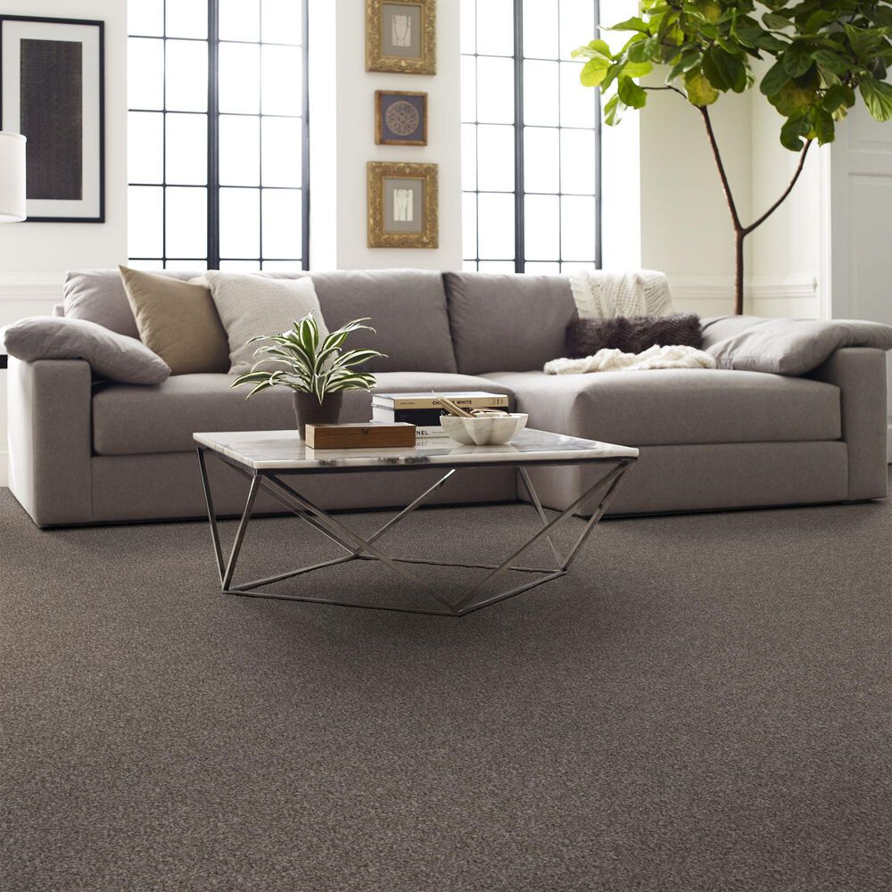 Shaw Yes You Can II Carpet in Soft Sense, , large