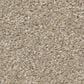 Shaw Way To Go III Carpet in Desert Khaki, , large