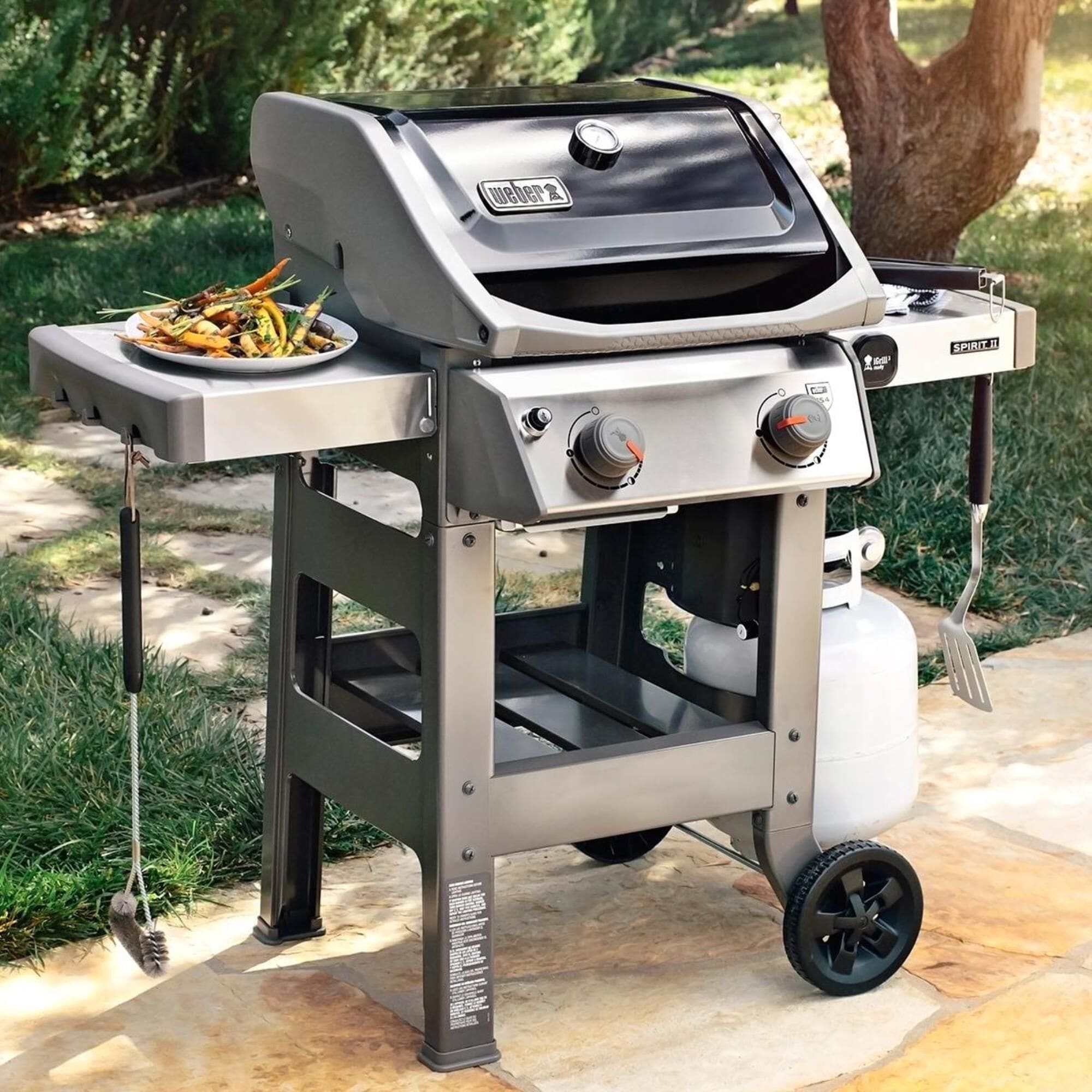 Weber e 210