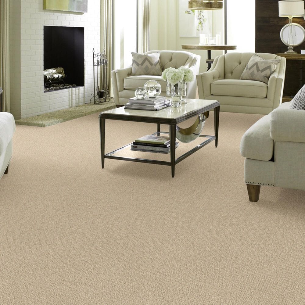 Shaw Detailed Statement Loop Carpet in Mesa, , large