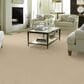 Shaw Detailed Statement Loop Carpet in Mesa, , large