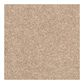 Dixie Home Lavato Carpet in Stoneworks, , large