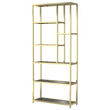 Furniture of America Gore Bookcase in Brass/Black, , large