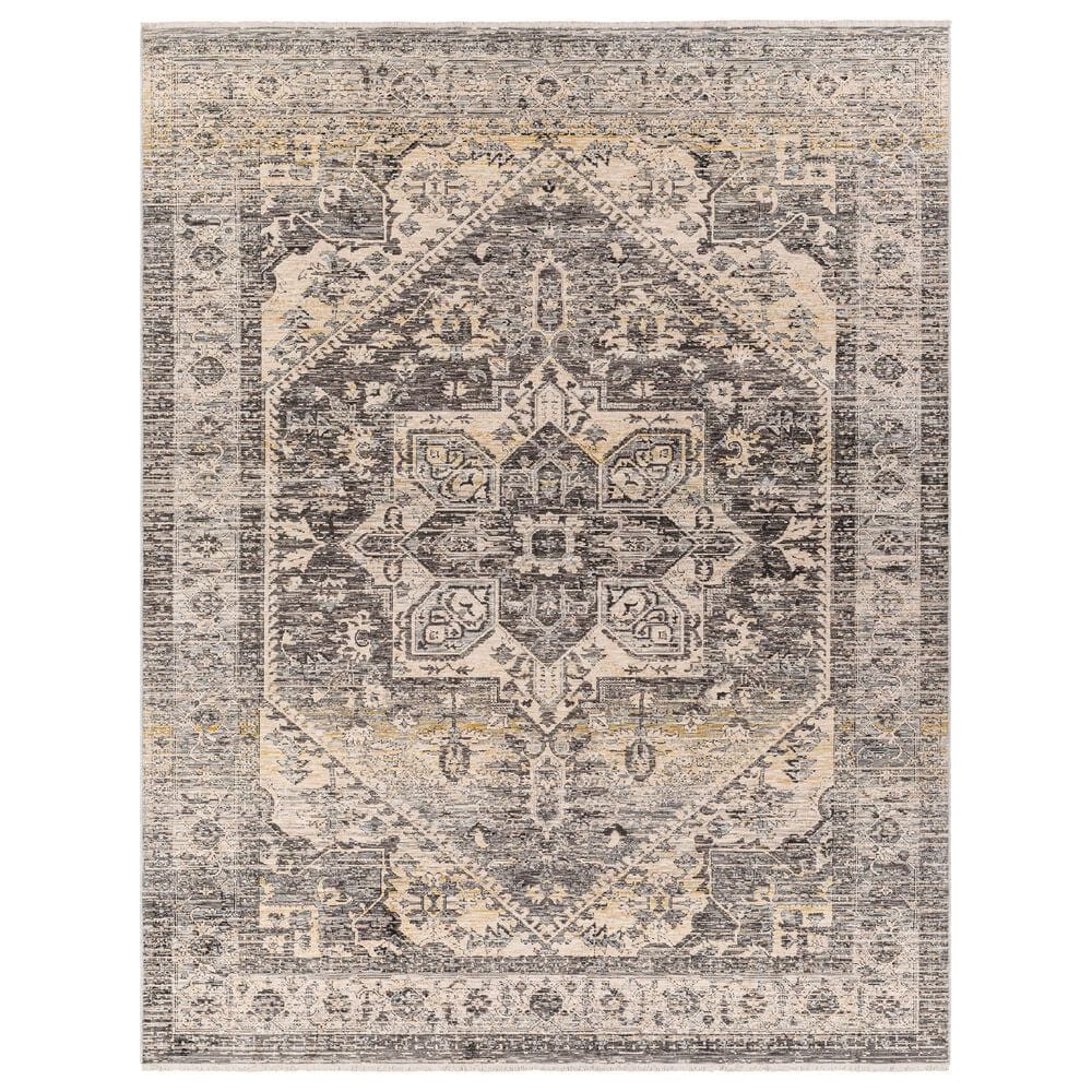 Surya Chicago CHG2316 5"3" x 7"9" Light Beige, Charcoal, Slate, Black, Blue,Taupe Area Rug, , large