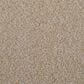 Masland Granique Carpet in Shellstone, , large