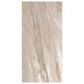 Paramount Fundamentals Serene Beige 12" x 24" Porcelain Tile, , large
