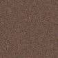 Anderson Tuftex Finery Carpet in Tea Time, , large