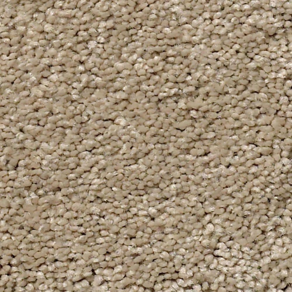 Anderson Tuftex Free Form Carpet in Oak Ridge, , large