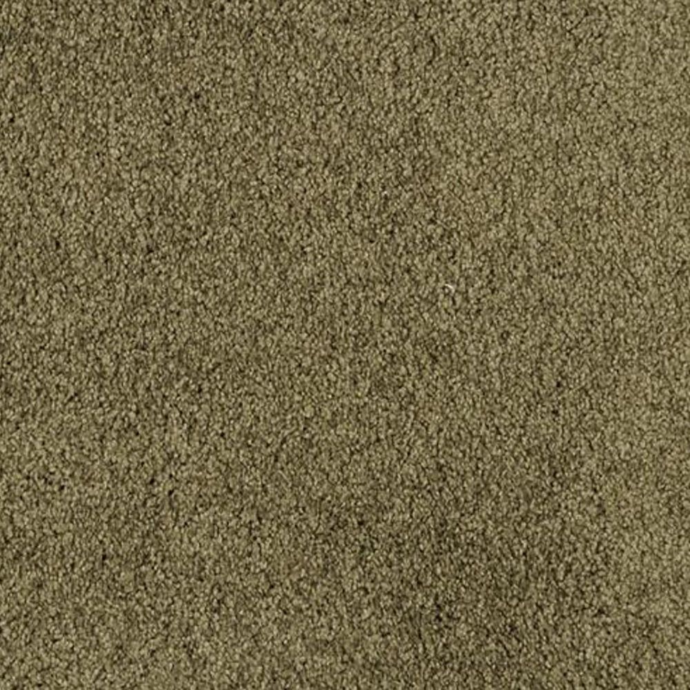 Masland Miami Carpet in Cypress, , large