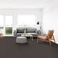 Dixie Home Tributary Carpet in Gateway, , large