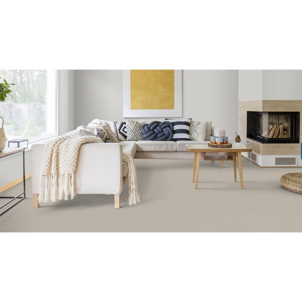 Dixie Home Winding Creek Premier Carpet in Morning Mist, , large