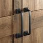 Sauder Select 2-Door Storage Cabinet in Rural Pine, , large