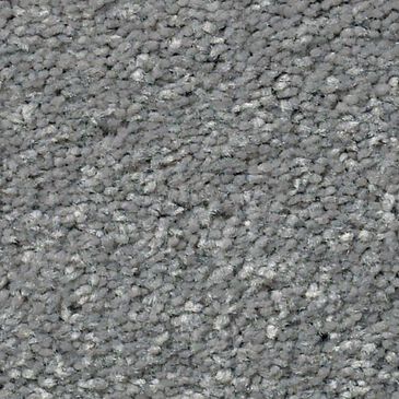 Shaw Well Grounded I 12" Carpet in Concrete, , large