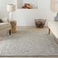 Nourison Colorado 8"3" x 11"6" Grey Area Rug, , large