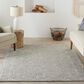 Nourison Colorado 8"3" x 11"6" Grey Area Rug, , large