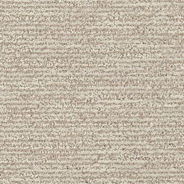 Dixie Home Quietly Carpet in Peaceful, , large