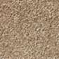 Shaw Find Your Comfort NS Blue Carpet in Falling Leaves, , large