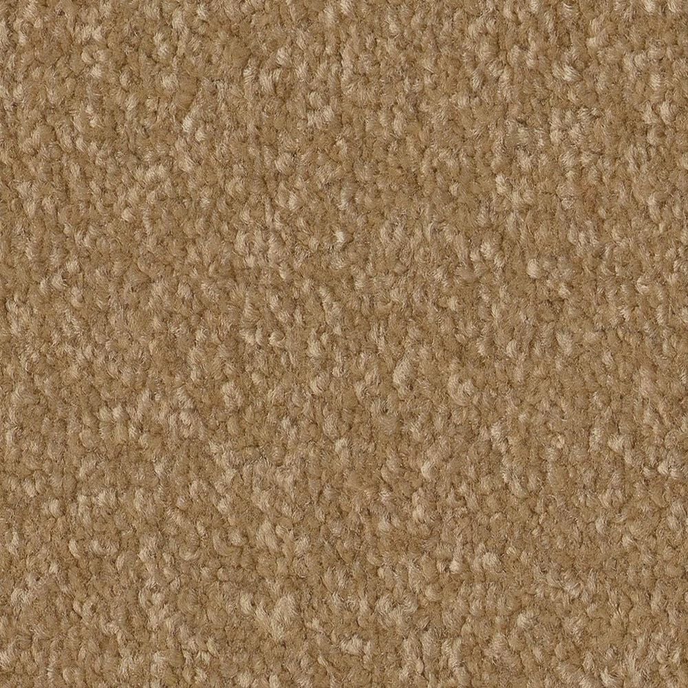 Shaw Awaken Spirit II 12" Carpet in Warm Brass, , large