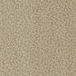 Phenix In The Details Carpet in Precise, , large