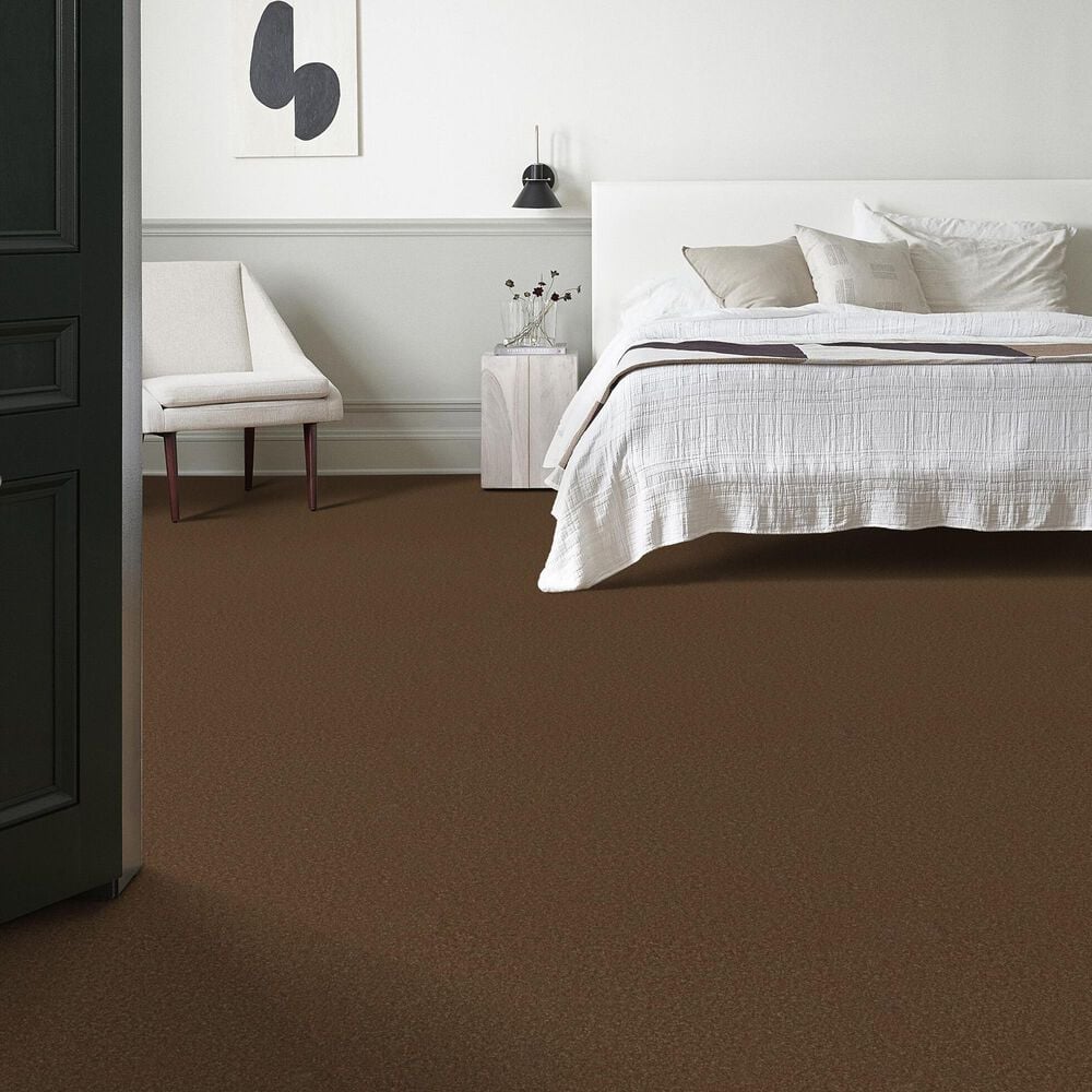 Anderson Tuftex Enchanting Carpet in Bronco, , large