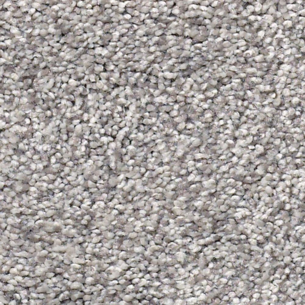 Shaw Find Your Comfort TT II Carpet in Whisper, , large