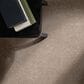 Philadelphia Delicate Feel I Carpet in Mocha, , large