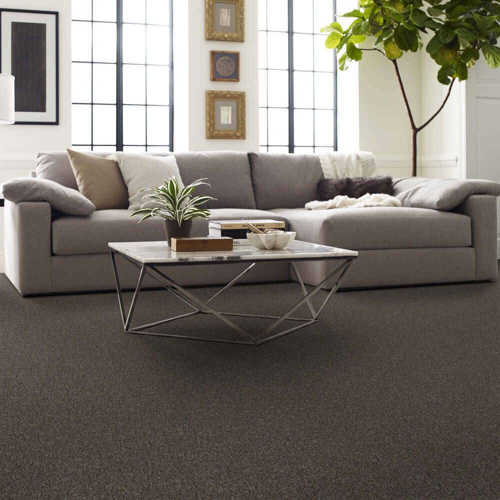 Shaw Yes You Can II Carpet in Cafe Noir, , large