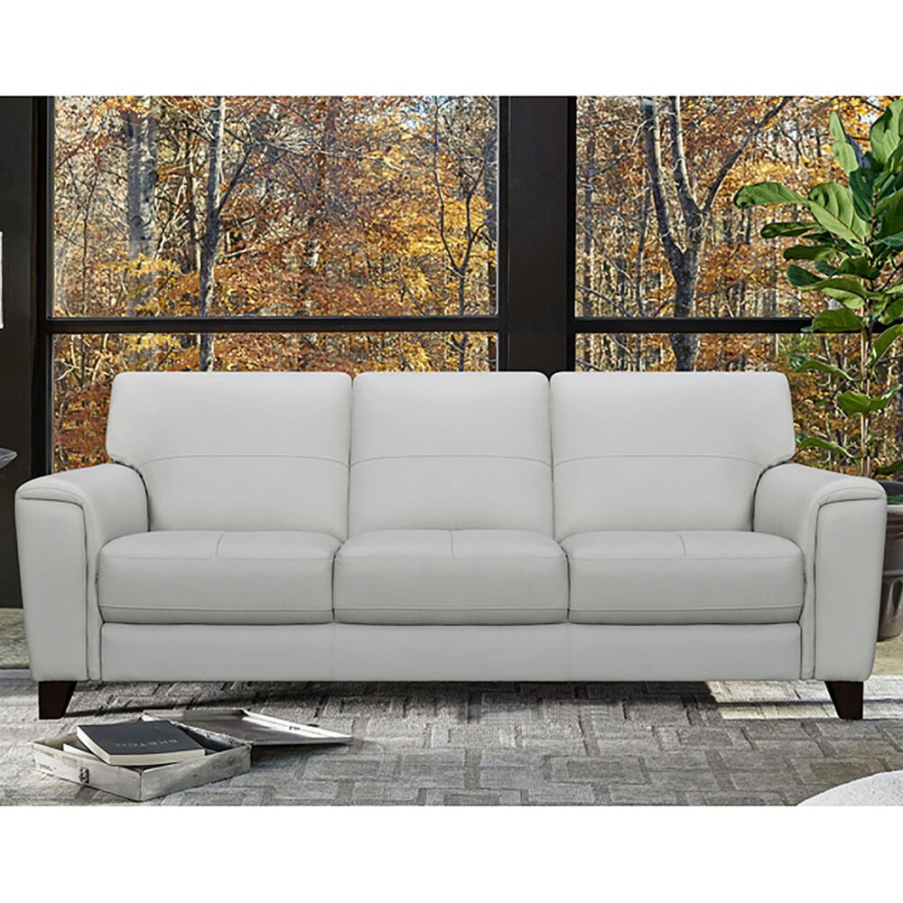 Blue River Bergen Leather Stationary Sofa in Dove Gray, , large
