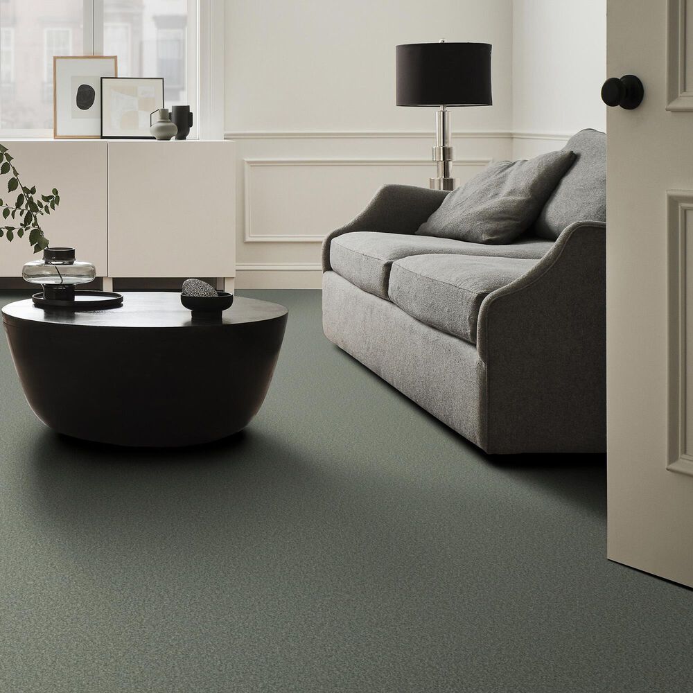 Shaw Tonal Comfort Ii Carpet in Meadow, , large