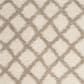 Safavieh Dallas Shag SGD258B-4 4" x 6" Ivory/Beige Area Rug, , large
