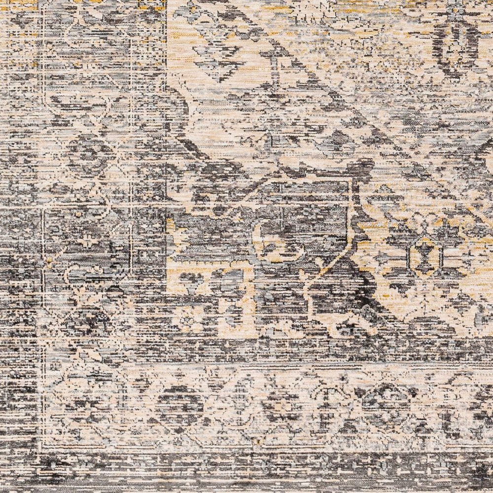 Surya Chicago CHG2316 7&#39;10&quot; x 10&#39; Light Beige, Charcoal, Slate, Black, Blue,Taupe Area Rug, , large